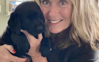 Mag ik jullie voorstellen