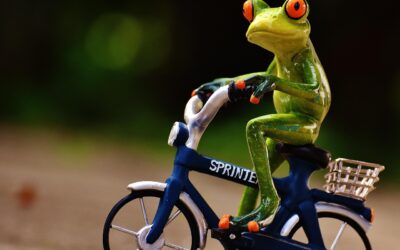 Fietsen, fietsen, fietsen