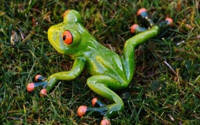 Het loopt zoals het loopt